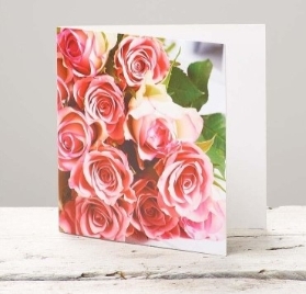Pink Rose Card